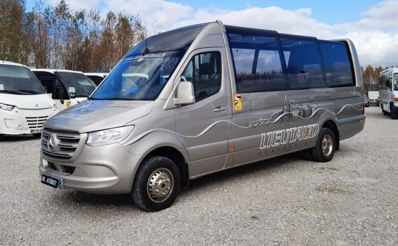 Autocar Mercedes-Benz Sprinter 519 3.0 CDI V6 *CABRIO*2x klima*40tys km: foto 8